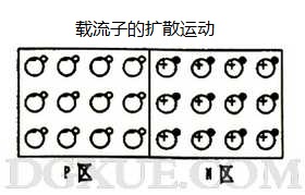 PN結(jié)載流子的擴(kuò)散運(yùn)動(dòng) PN結(jié)載流子的擴(kuò)散運(yùn)動(dòng)